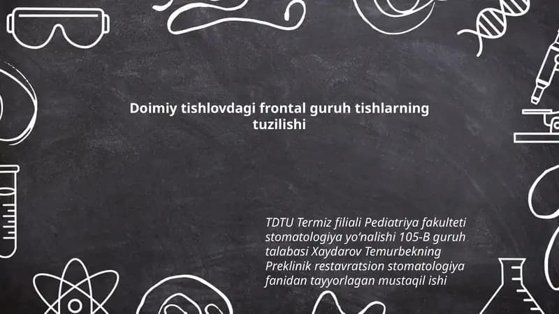 Frontal guruh tishlarning tuzilishi