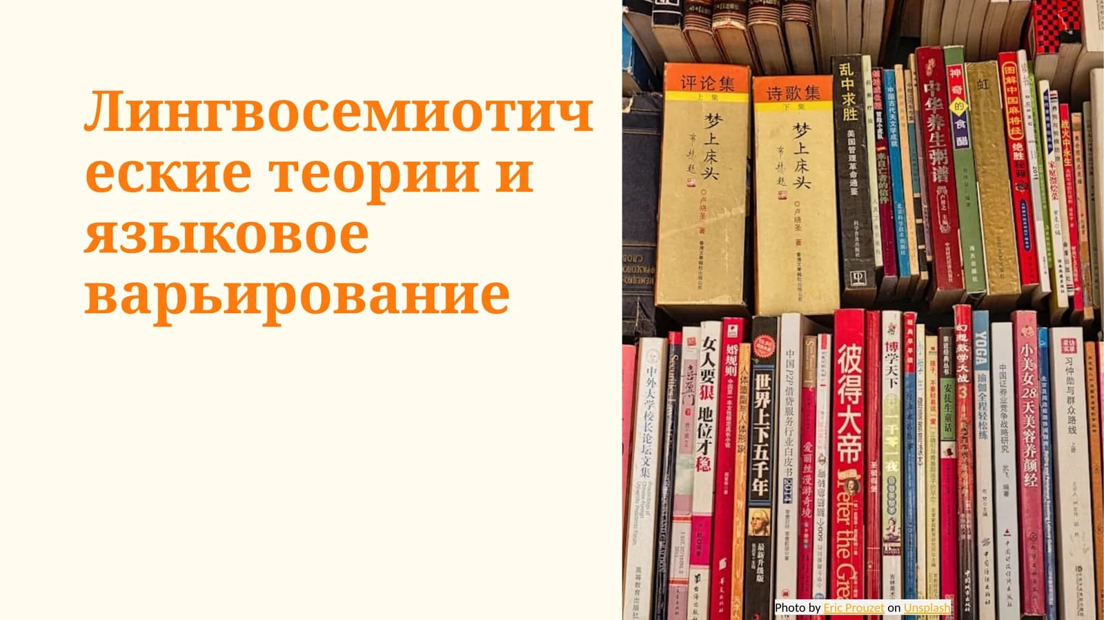 Лингвосемиотические теории и языковое варьирование