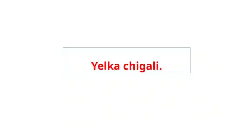 Yelka chigali.