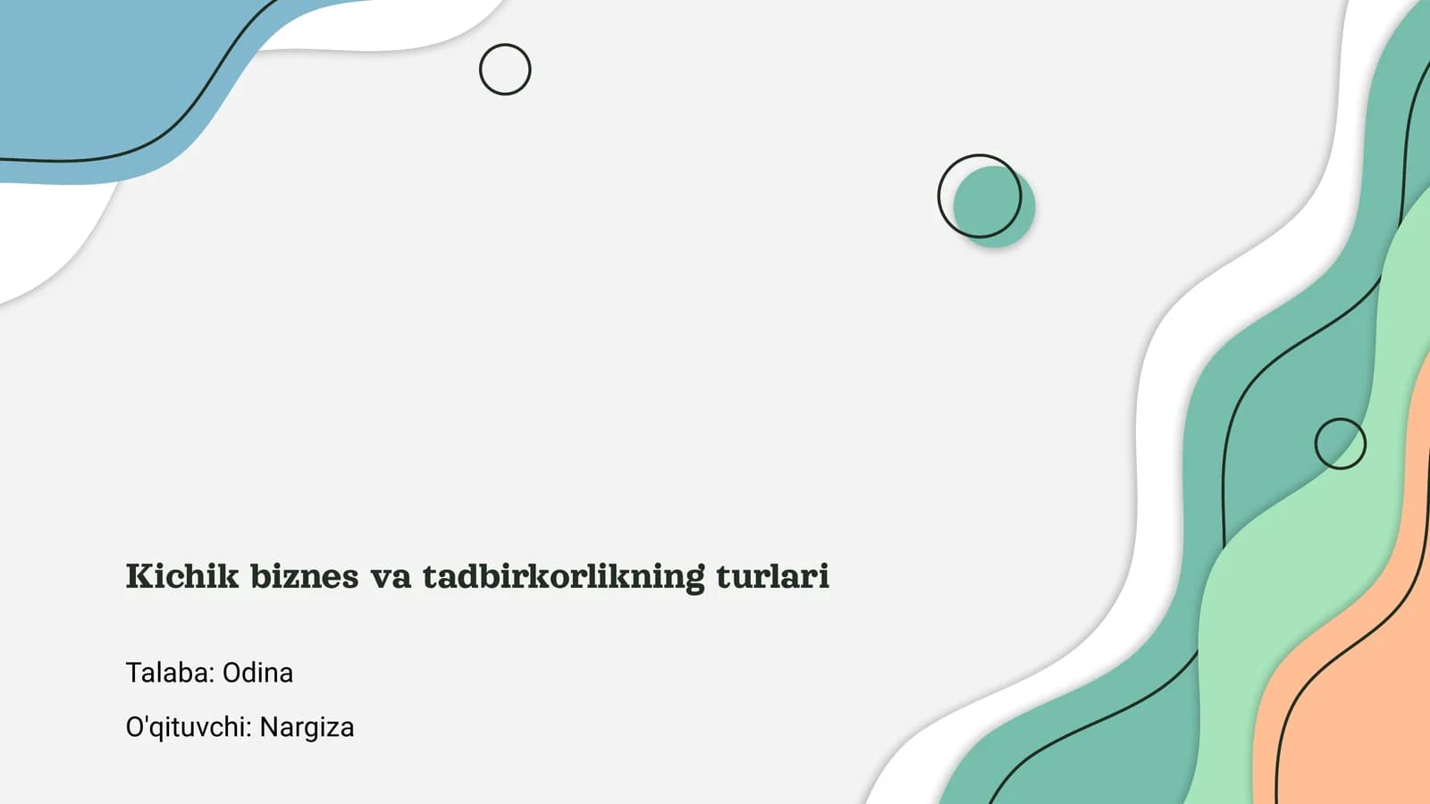 Kichik biznes va tadbirkorlikning turlari