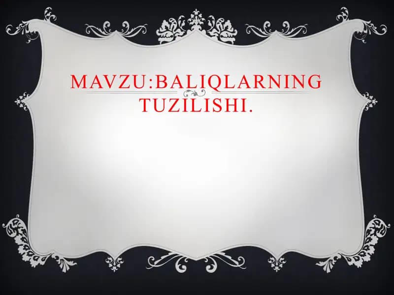 Baliqlarning tuzilishi