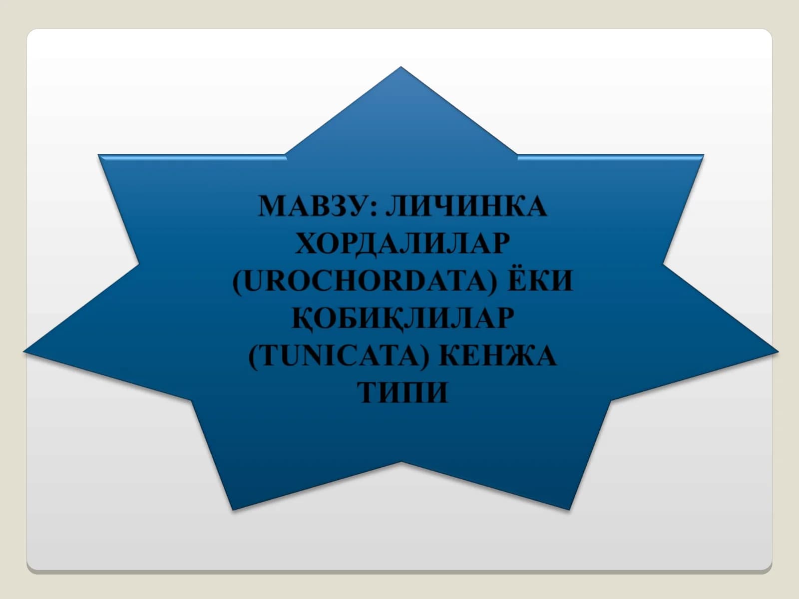 Xordalilar (Хордалилар)