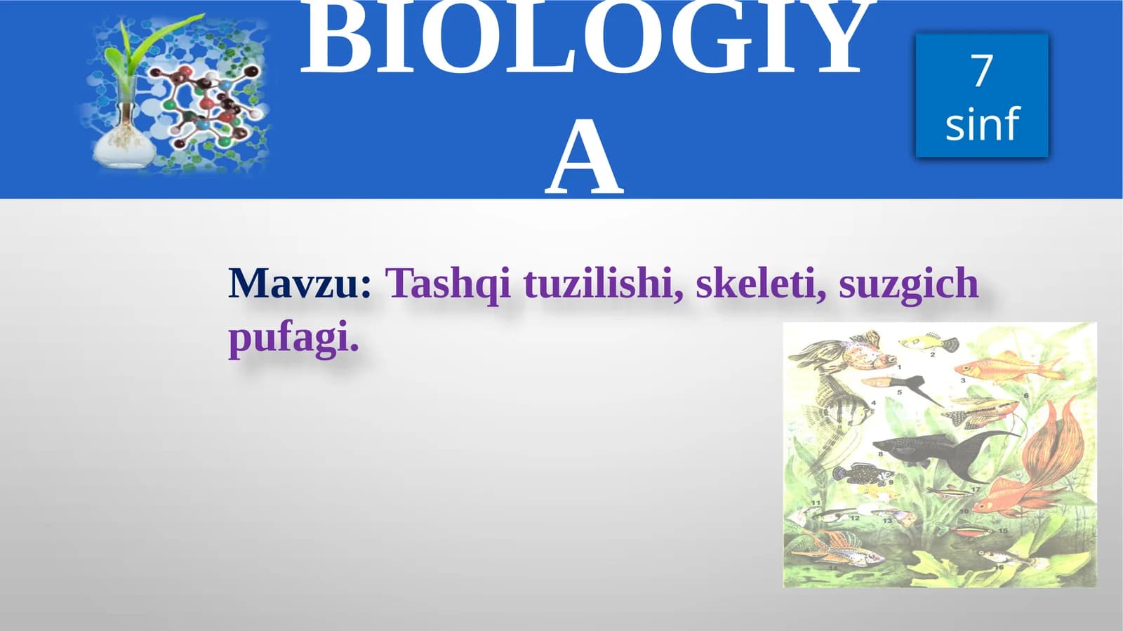 Tashqituzilishi,skeleti,suzgichpufagi