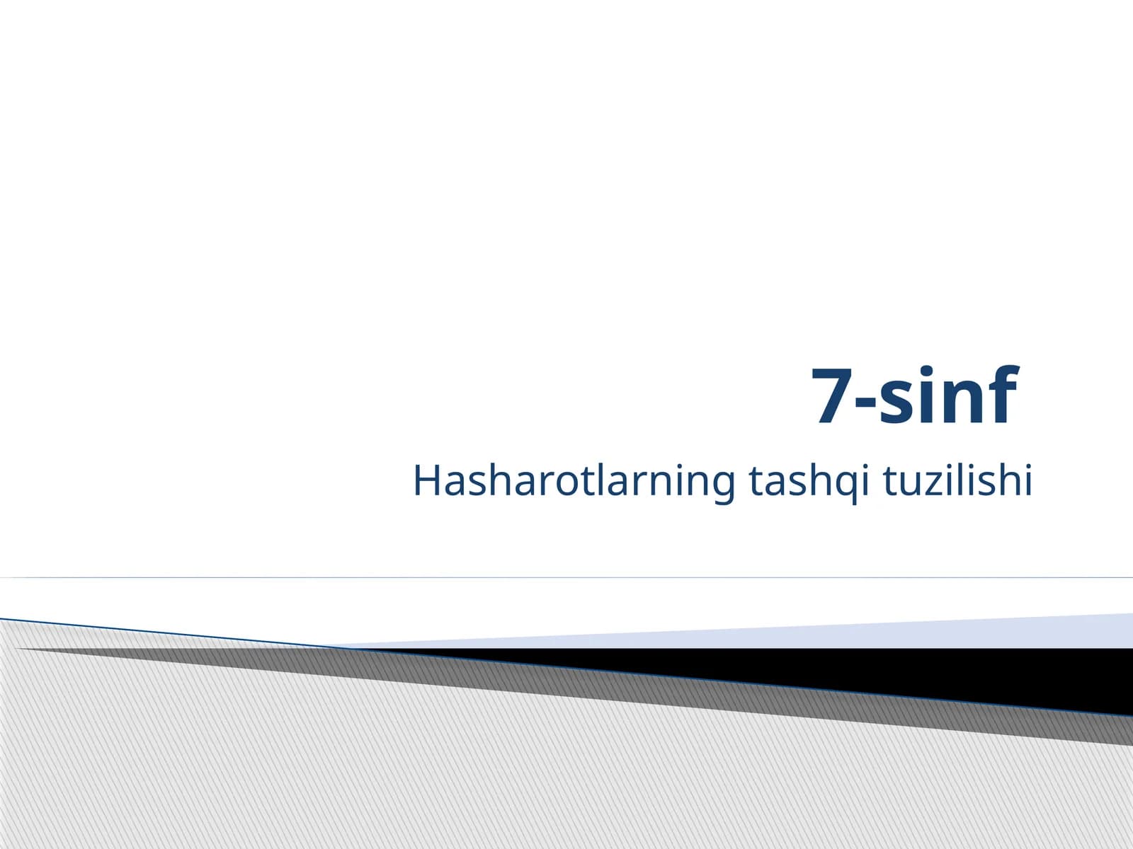 Hasharotlarning tashqi tuzilishi