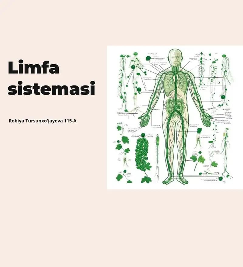 Limfa sistemasi