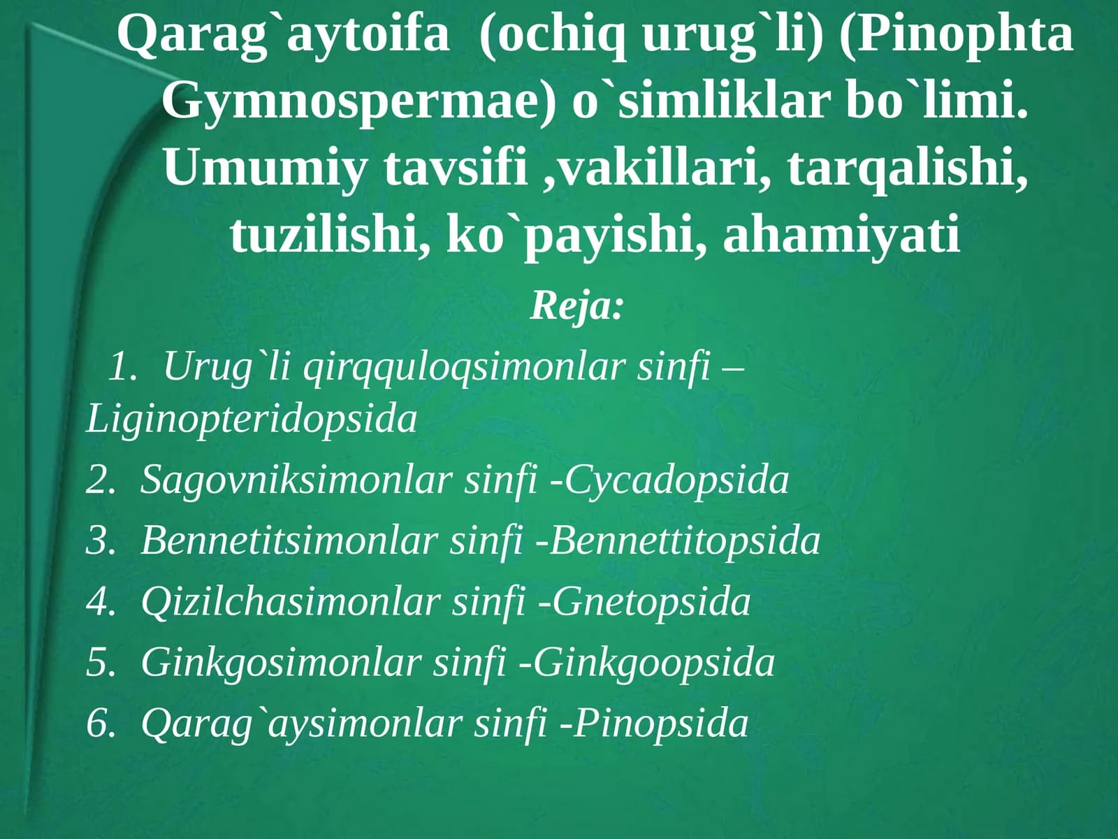 Qarag`aytoifa(ochiqurug`li) (PinophtaGymnospermae)
