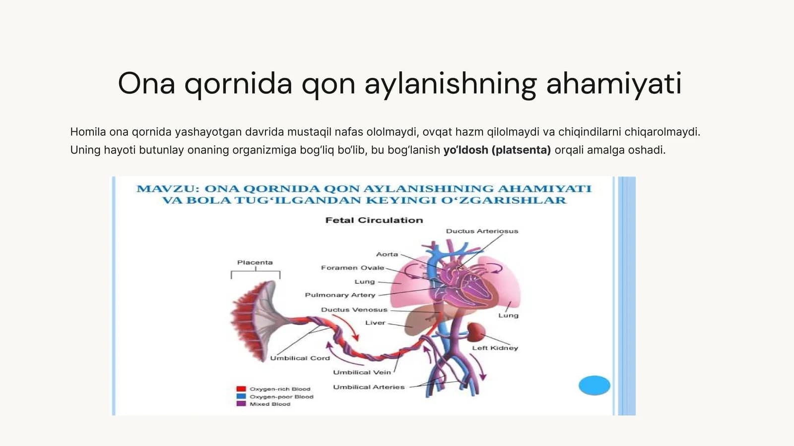 ONA QORNIDA QON AYLANISHINING AHAMIAYTI