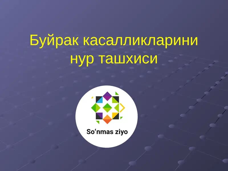 Буйрак касалликларини нур ташхиси
