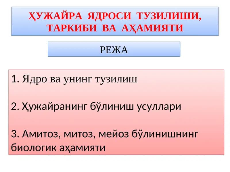 Ядро ва унинг тузилиши