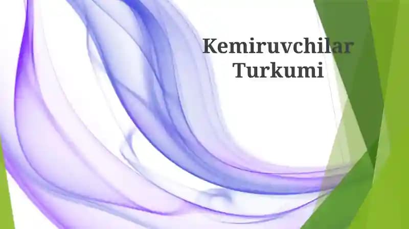 Kemiruvchilar Turkumi