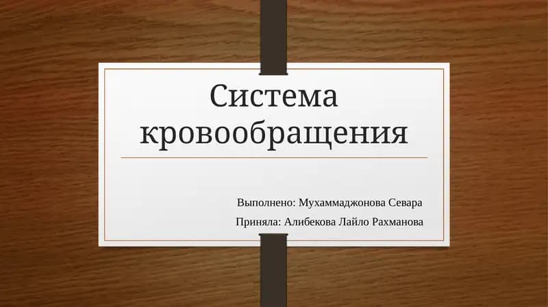 Система кровообращения