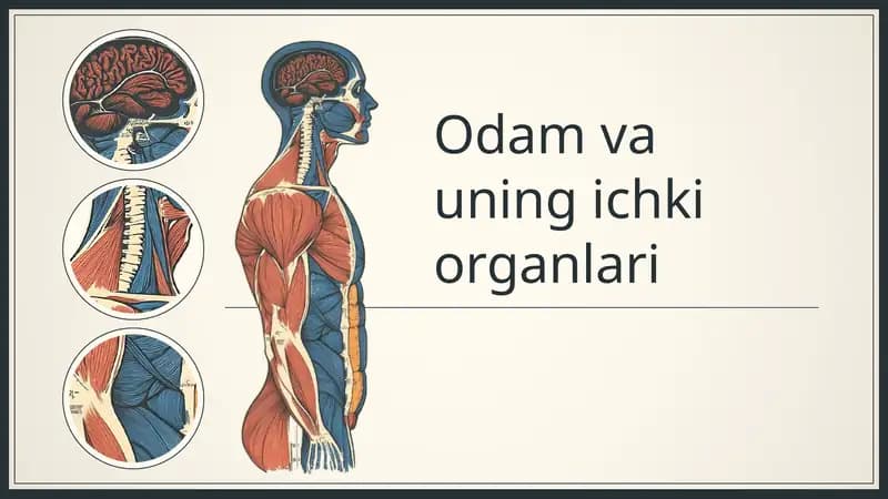 Odam va uning ichki organlari