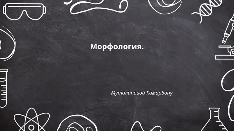Морфология. Муталиповой Камарбону