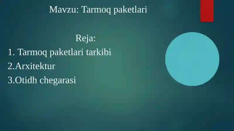 Tarmoq paketlari