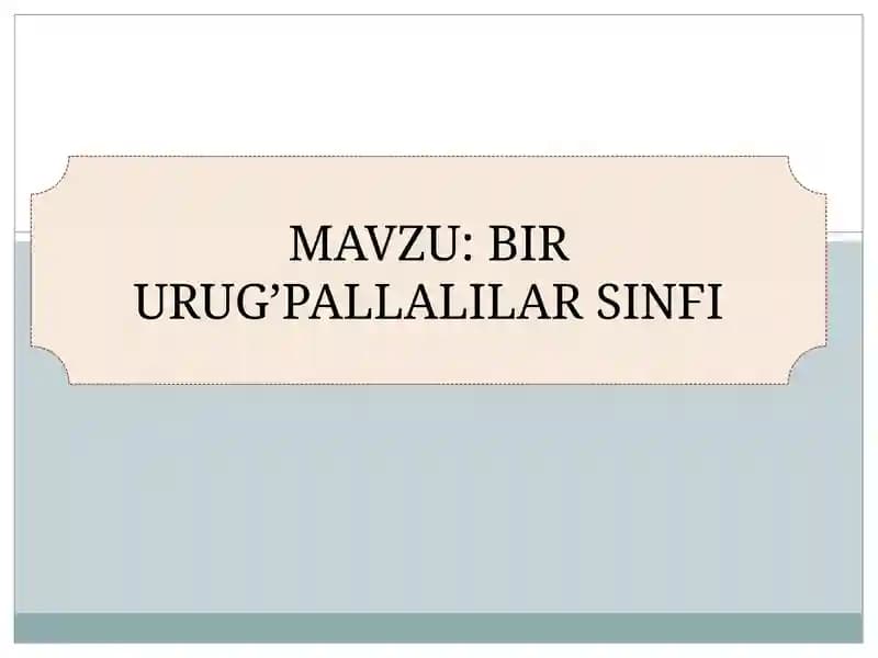 Bir Urug’Pallalilar Sinfi
