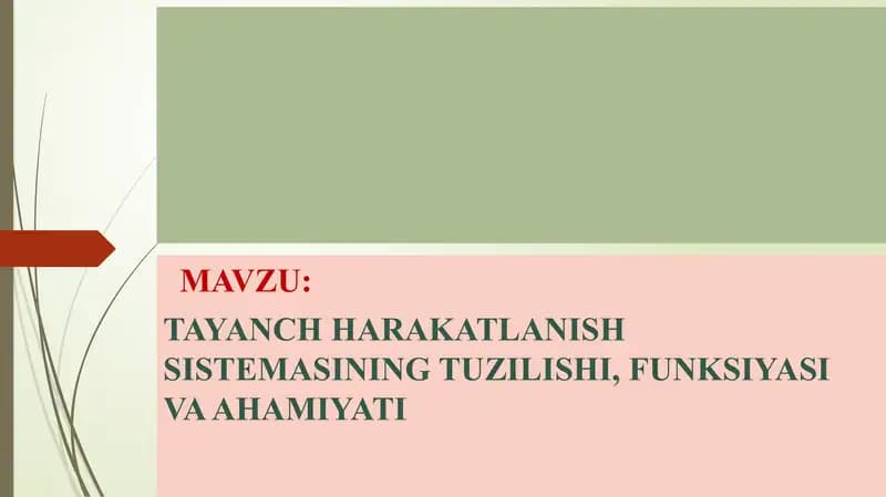 TAYANCH HARAKATLANISH SISTEMASI