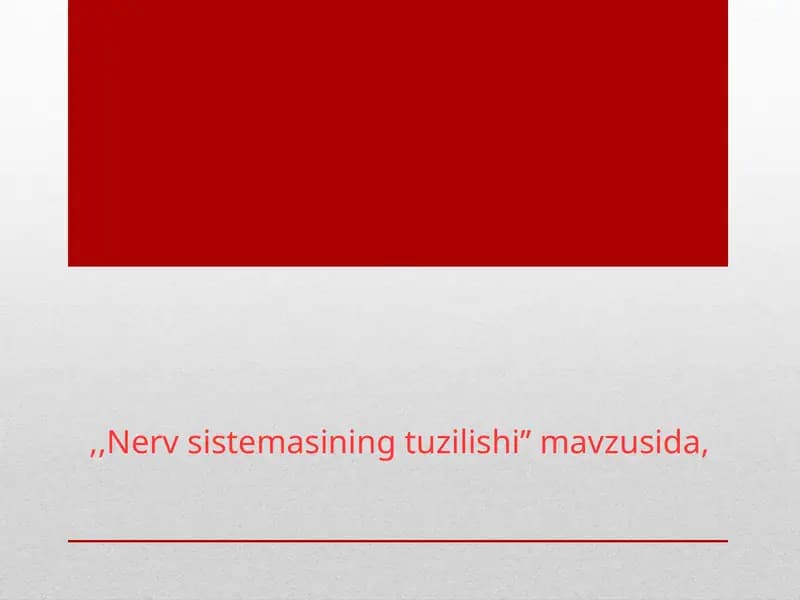 Nerv sistemasining tuzilishi