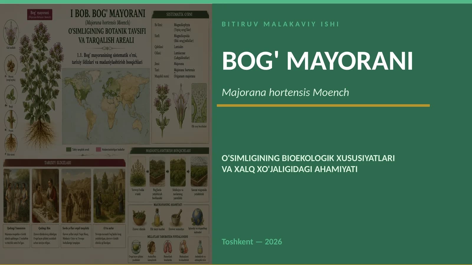 BITIRUV MALAKAVIY ISHI