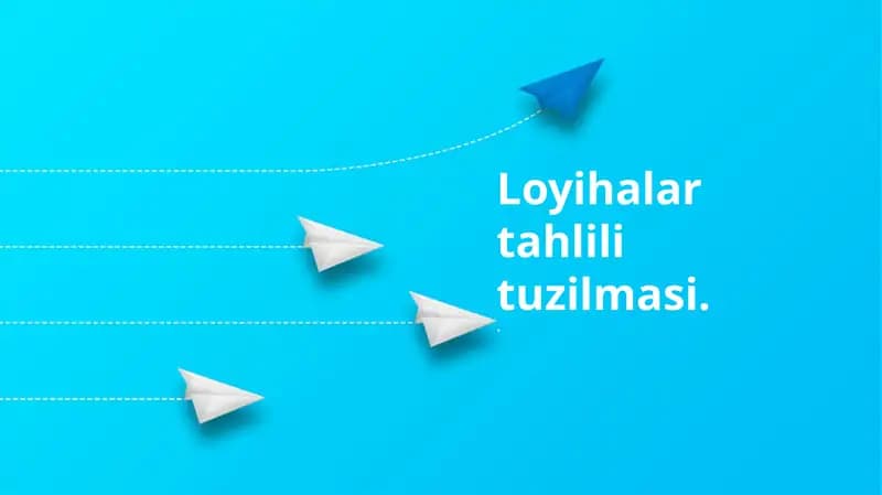 Loyihalar tahlili tuzilmasi
