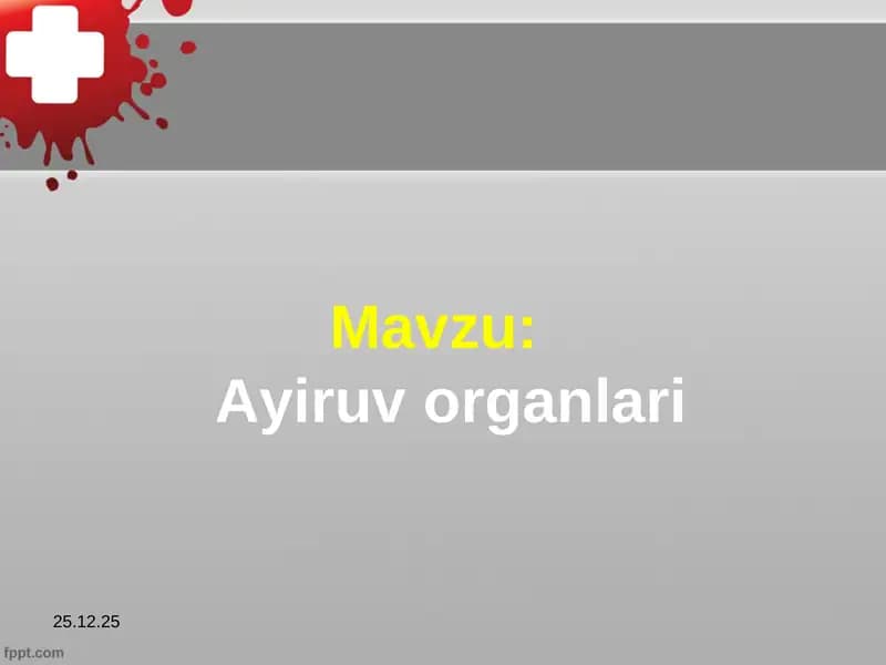 Ayiruv organlari