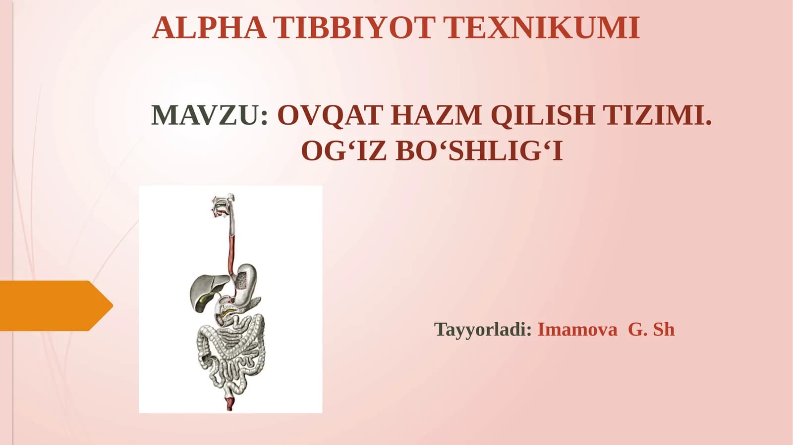 OVQAT HAZM QILISH TIZIMI.OG‘IZ BO‘SHLIG‘I