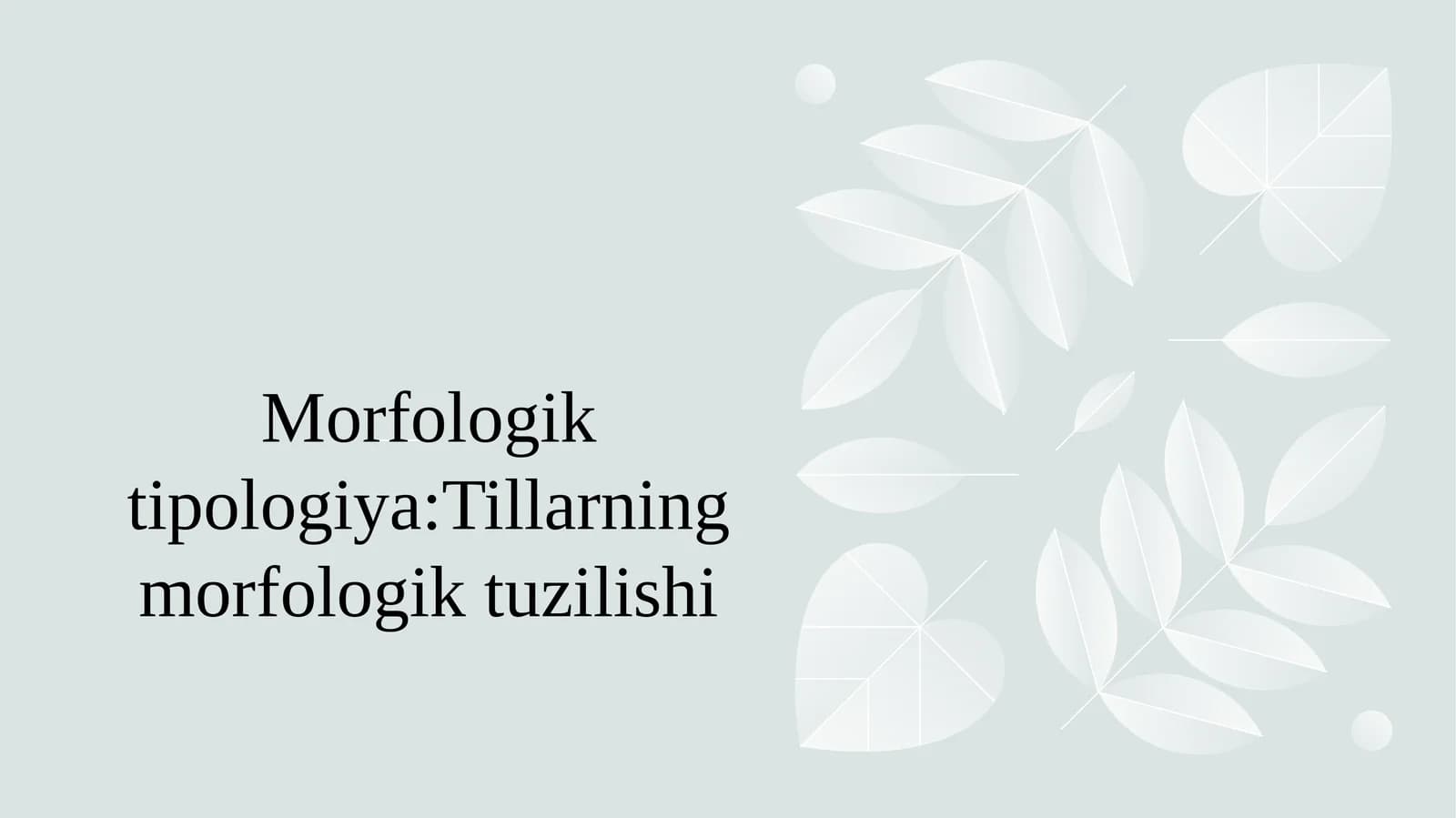 Morfologik tipologiya:Tillarning morfologik tuzilishi