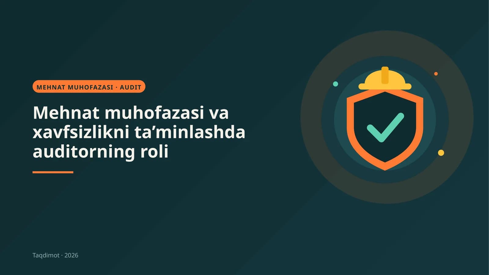 MEHNAT MUHOFAZASI · AUDIT