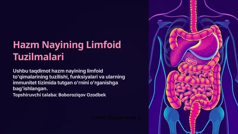 Limfoid To'qimalarning Tuzilishi
