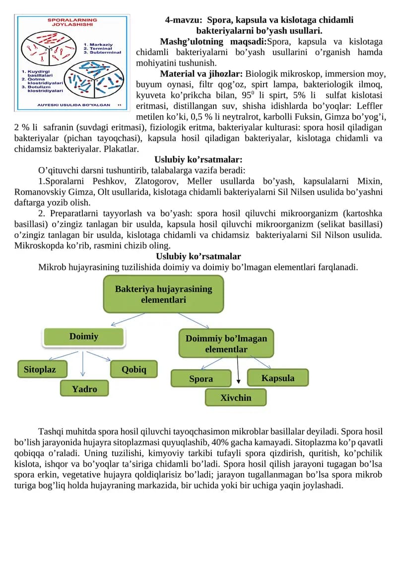 Spora, kapsula va kislotaga chidamli bakteriyalarni bo'yash usullari