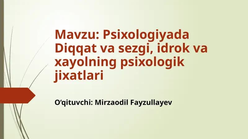 Psixologiyada Diqqat va Sezgi