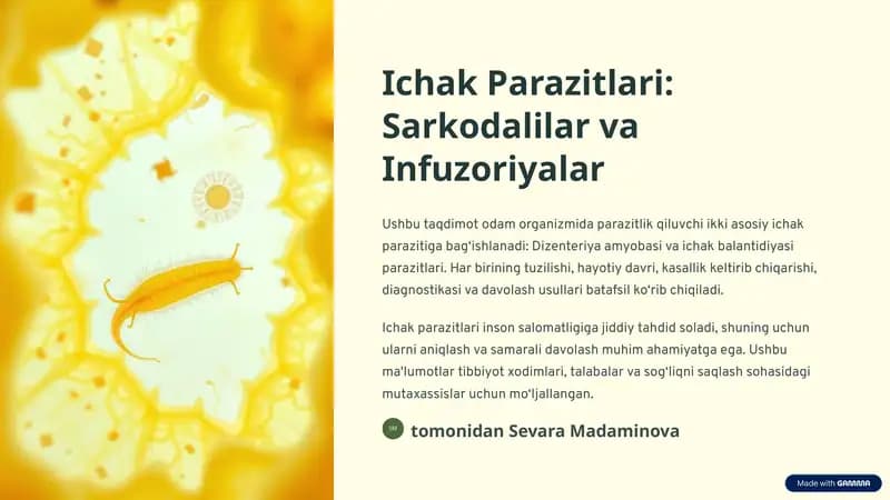 Ichak Parazitlari: Sarkodalilar va Infuzoriyalar