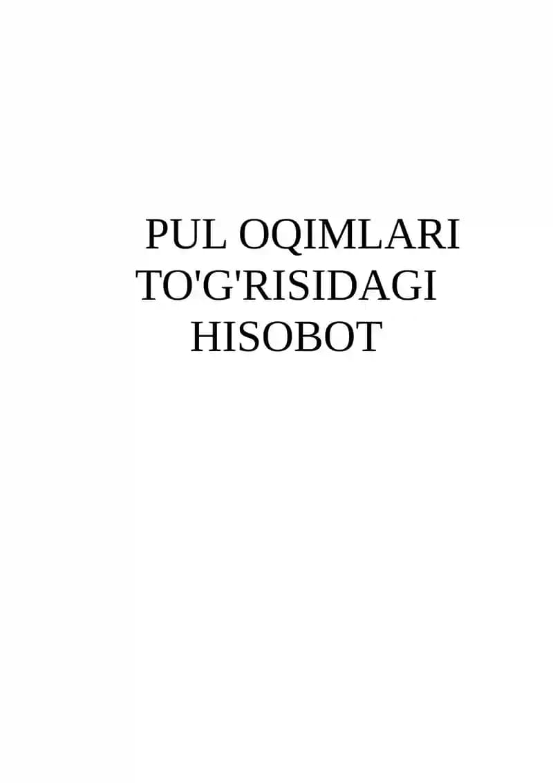 Pul Oqimlari Hisoboti