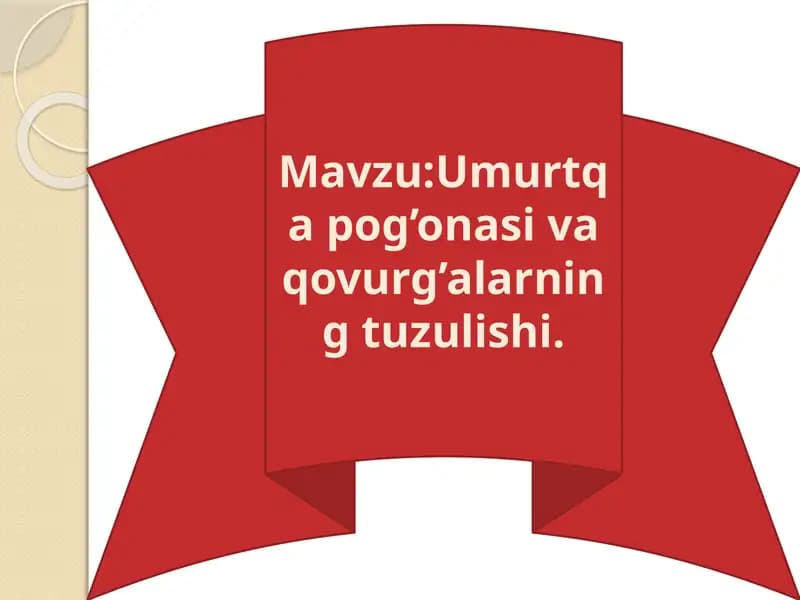 Umurtqa pog'onasi tuzulishi