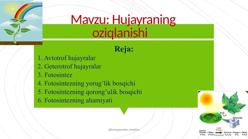 Hujayraning oziqlanishi