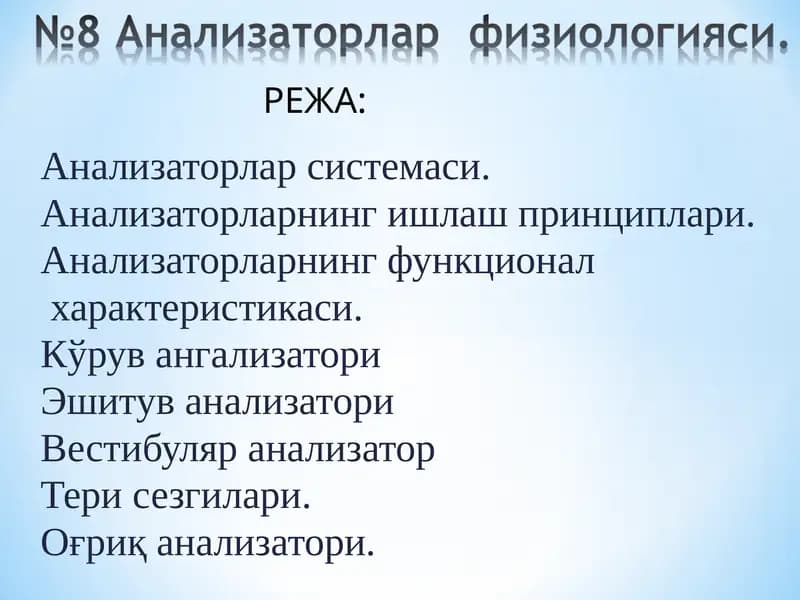 Анализаторлар системаси