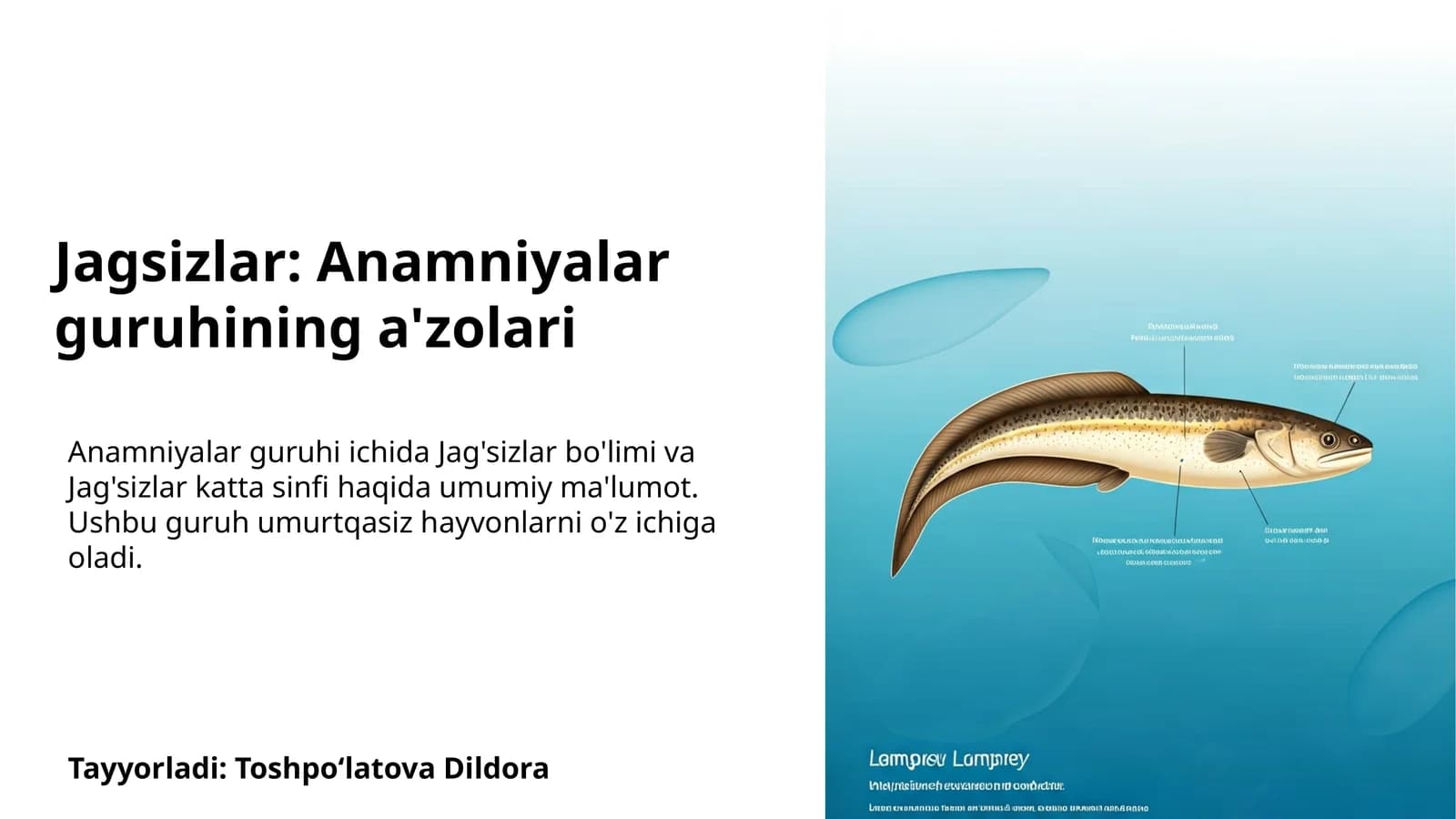 Jag'sizlar: Anamniyalar guruhining a'zolari