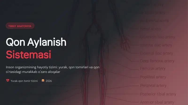 TIBBIY ANATOMIYA Qon Aylanish Sistemasi