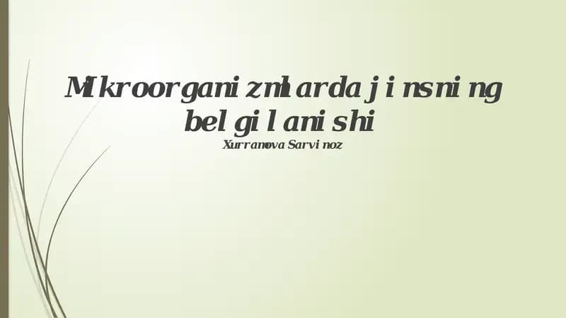 Mikroorganizmlarning asosiy turlari