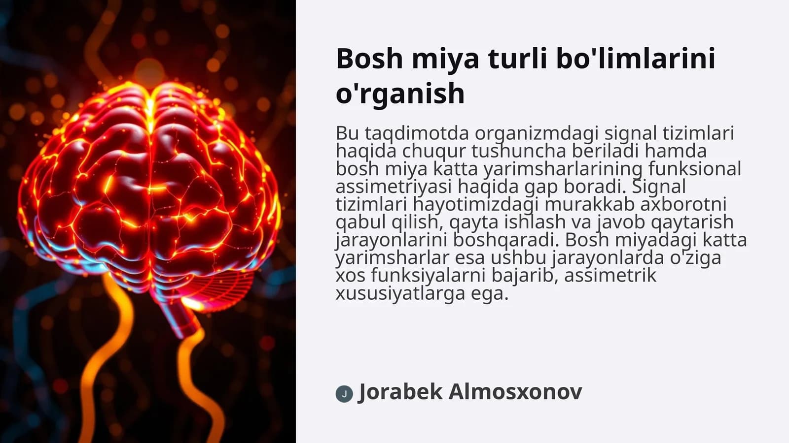 Bosh miya turli bo'limlarini o'rganish