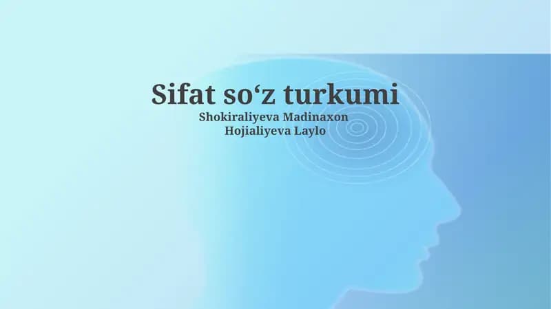 Sifat soʻz turkumi