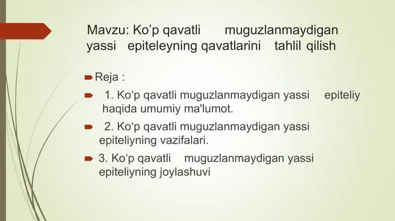 ko'p qavatli muguzlanmaydigan yassi epiteliy qavatlari