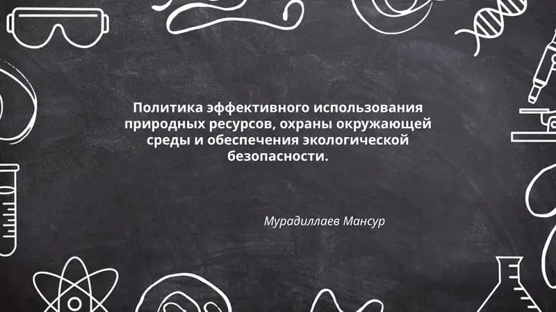 Политика эффективного использования природных ресурсов, охраны окружающей среды и обеспечения экологической безопасности