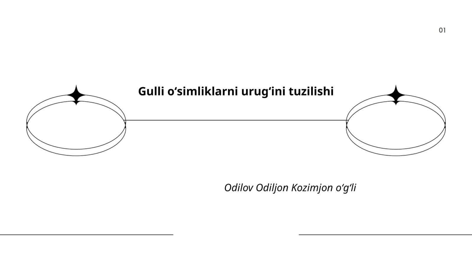 Gulli oʻsimliklarni urugʻini tuzilishi