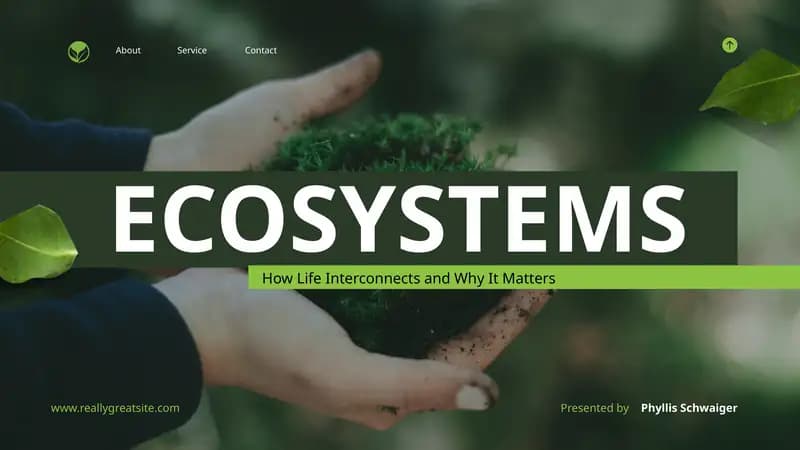 ECOSYSTEMS