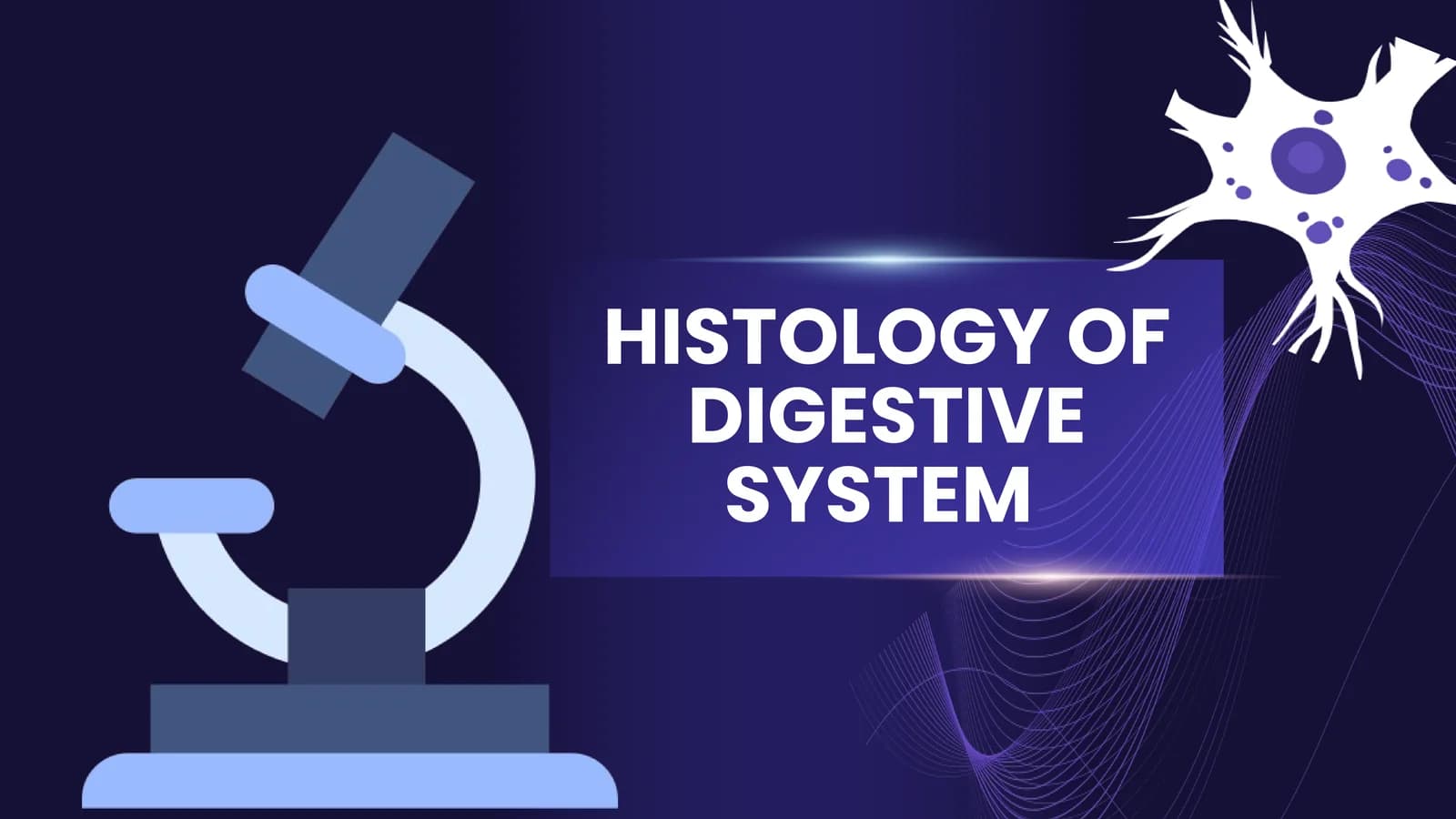HISTOLOGY OF DIGESTIVE SYSTEM. Liver and pancreas