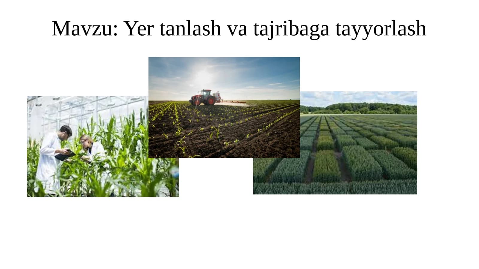 Yertanlashvatajribagatayyorlash