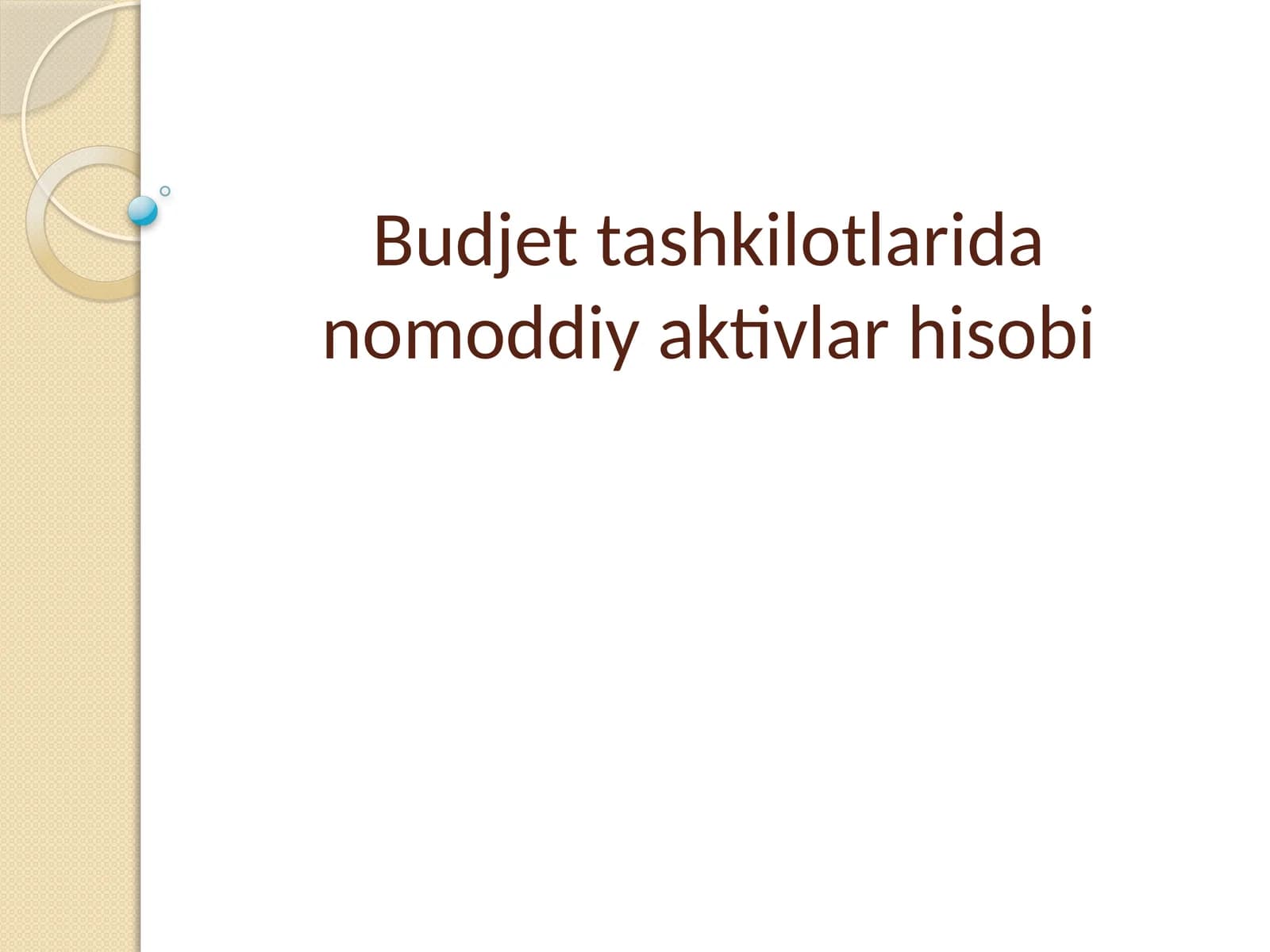 Budjet tashkilotlarida nomoddiy aktivlar hisobi