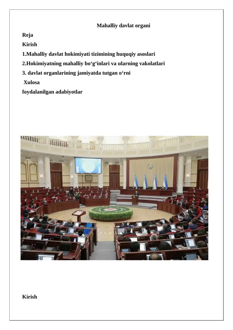 Mahalliy Davlat Organi
