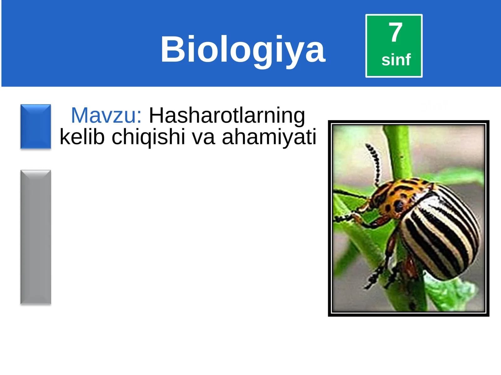 Hasharotlarning kelib chiqishi va ahamiyati