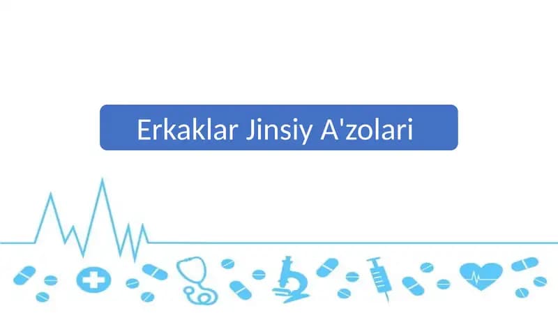 Erkaklar Jinsiy A'zolari